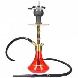 Chicha Mvp 360 Gold Edition