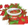 ICE FRUTZ 100g