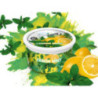 ICE FRUTZ 100 g