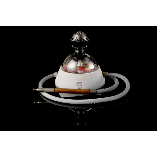 Chicha KALOUD KRYSALIS ELTHERIA