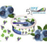 ICE FRUTZ 50 g