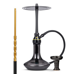 Chicha Tsar H-one Evolution...