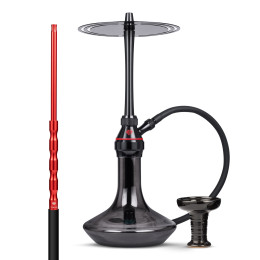 Chicha Tsar H-one Evolution...