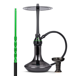 Chicha Tsar H-one Evolution...