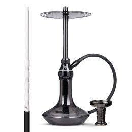 Chicha Tsar H-one Evolution...
