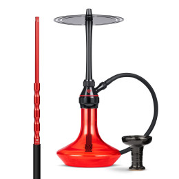 Chicha Tsar H-one Evolution...