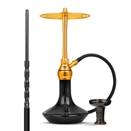 Chicha Tsar H-one Evolution...