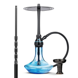 Chicha Tsar H-one Evolution...