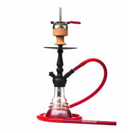 AMY 340 LITTLE ZURI V2