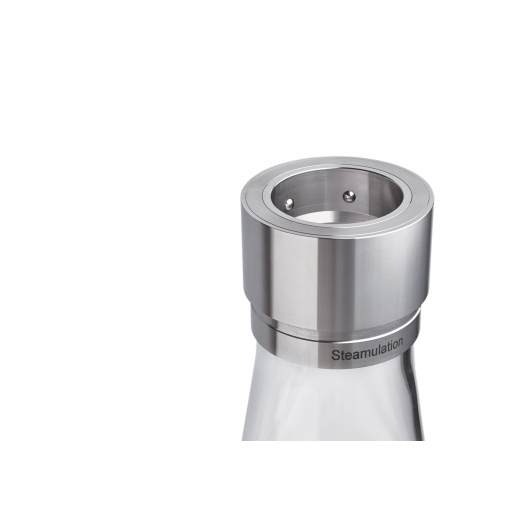 Steamulation Classic Platinum
