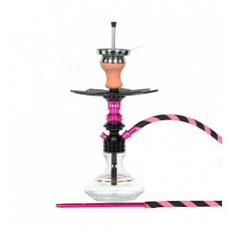 Chicha Ms Leão