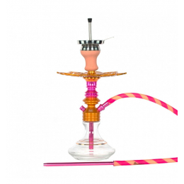 Chicha Ms Leão