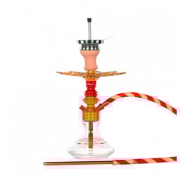 Chicha MS LEÃO