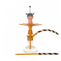 Chicha Ms Leão