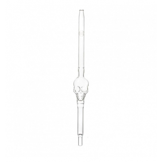 Manche En Verre Skull