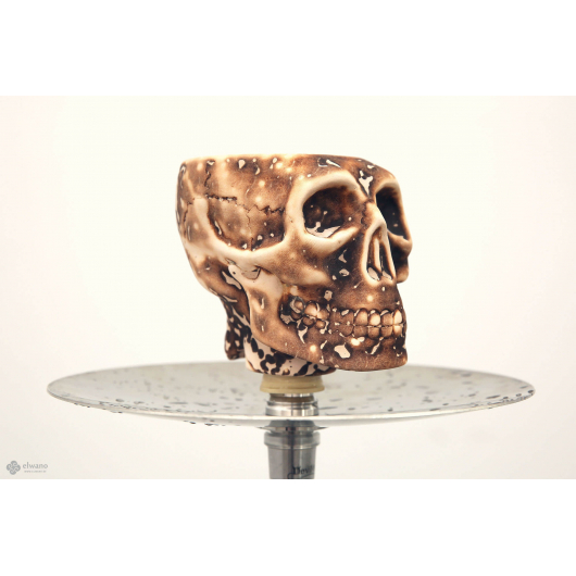 Κεφαλή ναργιλέ WERKBUND SKULL
