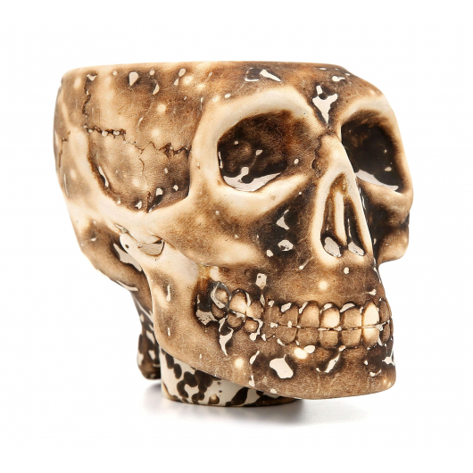 Foyer Werkbund Skull