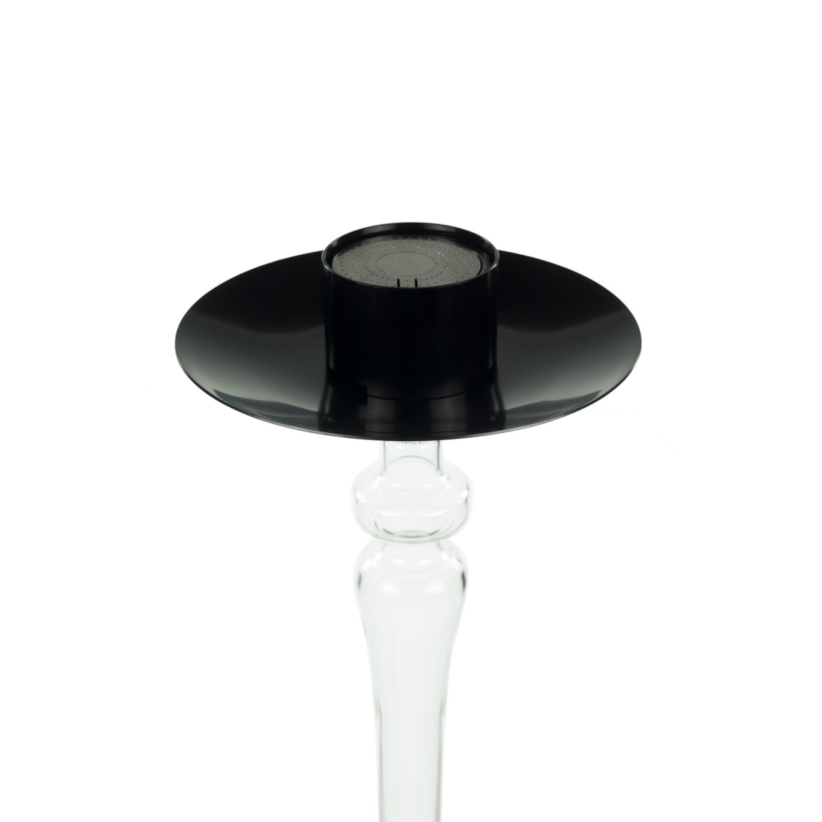 STEAMULATION EXCLUSIVE – JAGUAR