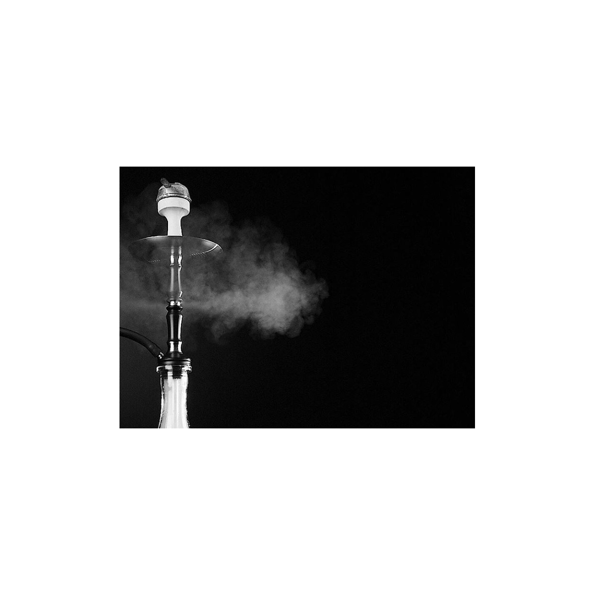 물담배 Y4 HOOKAH RUSH(와이포 훅카 러쉬)