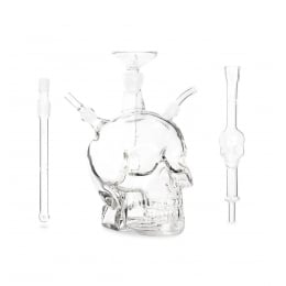 Chicha Skull