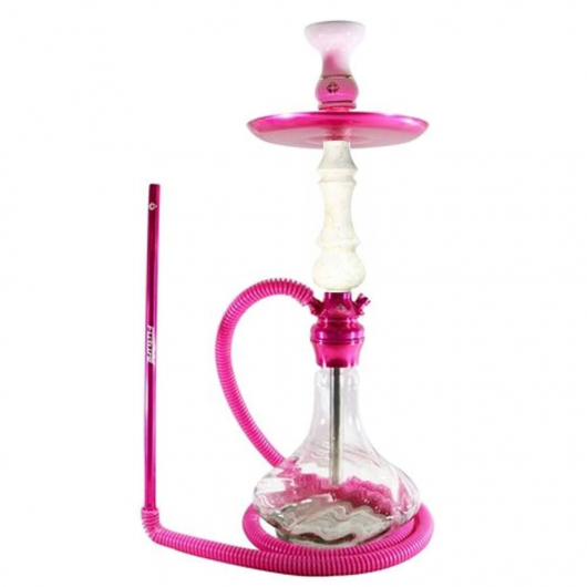 Shisha Amazon Future