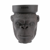 رأس KONG MONKEY